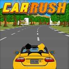 Scurry Car